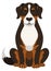 Sennenhund icon. Swiss mountain dog. Pure breed pet