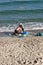 Sennon Cove Cornwall England. Two men casting a fishing net from the beach