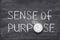 Sense of purpose watch