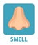 Sense of smell icon flat style. Nose. Isolated on white background. Vector illustration.