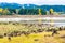 Sense of sunny beach point when low water level in autumn in mt. Rainier area,Washington,Usa