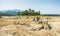 Sense of sunny beach point when low water level in summer in mt. rainier area,Wa,usa