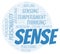 Sense typography word cloud create with the text only.