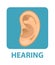 Sensitive hearing icon flat style. Ear. Isolated on white background. Vector illustration.