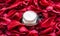 Sensitive skincare moisturizer cream on red flower petals and water background, natural science for skin