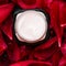 Sensitive skincare moisturizer cream on red flower petals and water background, natural science for skin