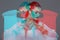 Sensual belly daner dancing portrait red cyan double exposure