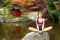 Sensual Woman Meditates Rock Pagoda Pond