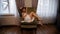 Sensual woman with naked legs in bedsheet sitting in armchair in hotel room