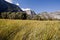 Sentinel Meadow in Yosemite Valley