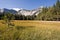 Sentinel Meadow in Yosemite Valley