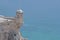 Sentry box in santa barbara castle