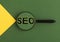 SEO acronym word through magnifying lens on green background