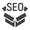 SEO Package glyph icon, seo and development, box