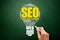 SEO (Search Engine Optimization) light bulb