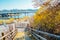 Seoul cityscape with forsythia flower and cherry blossoms in Korea