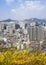 Seoul downtown top view with spring flowers