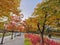 SEOUL, SOUTH KOREA - OCTOBER 27, 2022: Fall maple leaves foliage in orange and green colour in deep forest of Autumn in Seoul