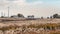 Seoul South Korea time lapse of silver grass field at Haneul Park in autumn