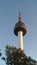 Seoul Tower from Namsan park.