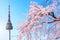 Seoul tower and pink cherry Blossom.