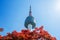 Seoul Tower and red autumn maple leaves at Namsan mountain in So