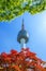 Seoul Tower and red autumn maple leaves at Namsan mountain in So