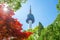 Seoul Tower and red autumn maple leaves at Namsan mountain in So