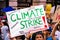 Sep 20, 2019 San Francisco / CA / USA - Protester raising Climate Strike sign at the Climate Strike Rally and March in downtown