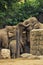 Separated family of elephants hugging each other