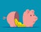 Separated piggy bank. Broken piggy bank concept. Flat cartoon vector style