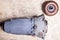 Separately, the car parts on the fiberboard sheet are an automatic metallic blue gearbox with a brown torque converter in the