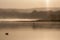 Sepia colored shot of lake water surrounded by trees and mountains