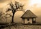 Sepia cottage and tree