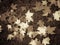 Sepia Fall Leaves Background Retro