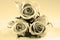 Sepia roses flowers