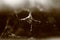 Sepia tone blurry macro background of cobweb.