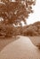 Sepia Tone of Brick Paver Walkway in the Garden