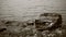 Sepia tone of a logboat harbored at the beach covered by big rock in Toba Lake, North Sumatra, Indonesia