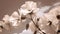 Sepia-toned Hibiscus Flowers Against A Blue Sky