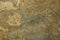 Sepia toned natural hill stone texture background.