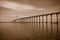 Sepia toned Rio Negro Bridge , Manaus, Amazonas  Brazil