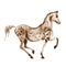 Sepia watercolor hand drawing arabian dapple grey horse in motion on white.