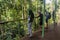 SEPILOK, MALAYSIA - FEBRUARY 18, 2018: Visitors of Bornean Sun Bear Conservation Centre in Sepilok, Sabah, Malays