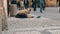 September 12, 2017 - Prague, Czech Republic: The poor man begs alms in the streets of the city around there are many