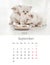 September 2024 Photo calendar with cute kitty