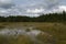 September aftenoon background of forest and White lake, Estonian nature.
