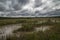 September aftenoon background of forest and White lake, Estonian nature.