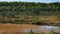 September afternoon swamp background of Kakerdaja, Estonian nature.