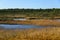 September afternoon swamp background of Kakerdaja, Estonian nature.